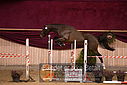 Filnavn=DSC_4039.jpg
Filstørrelse=368KiB
Dimensioner=1224x817
Dato for tilføjelse=%12 %753, %2018 DSC_4039.jpg