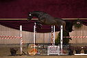 Filnavn=DSC_4050.jpg
Filstørrelse=358KiB
Dimensioner=1224x817
Dato for tilføjelse=%12 %753, %2018 DSC_4050.jpg