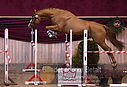 Filnavn=DSC_4105.jpg
Filstørrelse=380KiB
Dimensioner=1208x828
Dato for tilføjelse=%12 %754, %2018 DSC_4105.jpg