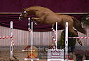 Filnavn=DSC_4106.jpg
Filstørrelse=386KiB
Dimensioner=1208x828
Dato for tilføjelse=%12 %754, %2018 DSC_4106.jpg
