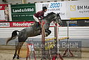 Filnavn=DSC_4806.JPG
Filstørrelse=356KiB
Dimensioner=1224x817
Dato for tilføjelse=%07 %960, %2019 DSC_4806.JPG