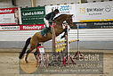 Filnavn=DSC_4834.JPG
Filstørrelse=385KiB
Dimensioner=1224x817
Dato for tilføjelse=%07 %960, %2019 DSC_4834.JPG