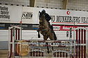 Filnavn=DSC_4847.JPG
Filstørrelse=365KiB
Dimensioner=1224x817
Dato for tilføjelse=%07 %960, %2019 DSC_4847.JPG