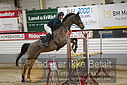 Filnavn=DSC_4850.JPG
Filstørrelse=340KiB
Dimensioner=1224x817
Dato for tilføjelse=%07 %960, %2019 DSC_4850.JPG