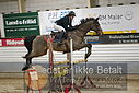 Filnavn=DSC_4851.JPG
Filstørrelse=312KiB
Dimensioner=1224x817
Dato for tilføjelse=%07 %960, %2019 DSC_4851.JPG