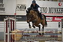 Filnavn=DSC_4877.JPG
Filstørrelse=345KiB
Dimensioner=1224x817
Dato for tilføjelse=%07 %960, %2019 DSC_4877.JPG