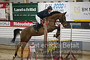 Filnavn=DSC_4878.JPG
Filstørrelse=351KiB
Dimensioner=1224x817
Dato for tilføjelse=%07 %960, %2019 DSC_4878.JPG