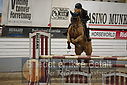 Filnavn=DSC_4920.JPG
Filstørrelse=356KiB
Dimensioner=1224x817
Dato for tilføjelse=%07 %960, %2019 DSC_4920.JPG