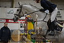 Filnavn=DSC_4977.JPG
Filstørrelse=301KiB
Dimensioner=1224x817
Dato for tilføjelse=%07 %960, %2019 DSC_4977.JPG