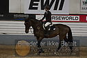 Filnavn=DSC_4988.JPG
Filstørrelse=343KiB
Dimensioner=1224x817
Dato for tilføjelse=%07 %960, %2019 DSC_4988.JPG