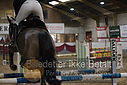 Filnavn=DSC_5019.JPG
Filstørrelse=293KiB
Dimensioner=1224x817
Dato for tilføjelse=%07 %960, %2019 DSC_5019.JPG