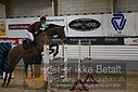 Filnavn=DSC_5029.JPG
Filstørrelse=367KiB
Dimensioner=1224x817
Dato for tilføjelse=%07 %960, %2019 DSC_5029.JPG