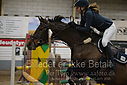 Filnavn=DSC_5069.JPG
Filstørrelse=283KiB
Dimensioner=1224x817
Dato for tilføjelse=%07 %960, %2019 DSC_5069.JPG