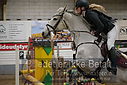Filnavn=DSC_5129.JPG
Filstørrelse=290KiB
Dimensioner=1224x817
Dato for tilføjelse=%07 %961, %2019 DSC_5129.JPG