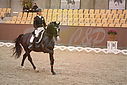 PT9_2817~0.JPG