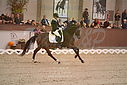 PT9_4126.JPG