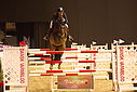 PT9_7192~0.JPG