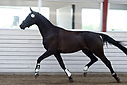 Filnavn=_AAF1073~0.jpg
Filstørrelse=201KiB
Dimensioner=1200x801
Dato for tilføjelse=%24 %231, %2018 _AAF1073~0.jpg