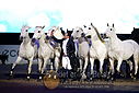 Filnavn=_AAF1114~0.JPG
Filstørrelse=262KiB
Dimensioner=1224x817
Dato for tilføjelse=%11 %253, %2018 _AAF1114~0.JPG