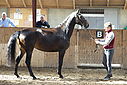 Filnavn=_AAF1540~4.JPG
Filstørrelse=407KiB
Dimensioner=1224x817
Dato for tilføjelse=%24 %356, %2018 _AAF1540~4.JPG
