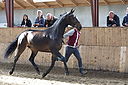 Filnavn=_AAF1555~4.JPG
Filstørrelse=299KiB
Dimensioner=1168x778
Dato for tilføjelse=%24 %356, %2018 _AAF1555~4.JPG