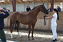 Filnavn=_AAF1560~3.JPG
Filstørrelse=383KiB
Dimensioner=1224x817
Dato for tilføjelse=%24 %356, %2018 _AAF1560~3.JPG