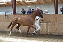 Filnavn=_AAF1572~5.JPG
Filstørrelse=299KiB
Dimensioner=1192x794
Dato for tilføjelse=%24 %356, %2018 _AAF1572~5.JPG