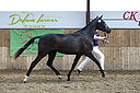 Filnavn=_AAF1686~3.JPG
Filstørrelse=332KiB
Dimensioner=1196x796
Dato for tilføjelse=%24 %357, %2018 _AAF1686~3.JPG