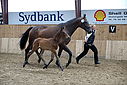 Filnavn=_AAF1773~3.JPG
Filstørrelse=334KiB
Dimensioner=1224x817
Dato for tilføjelse=%24 %357, %2018 _AAF1773~3.JPG