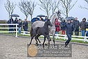 Filnavn=_AAF4755~3.JPG
Filstørrelse=501KiB
Dimensioner=1224x817
Dato for tilføjelse=%29 %508, %2018 _AAF4755~3.JPG
