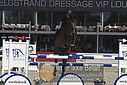 Filnavn=_AAF7097~2.JPG
Filstørrelse=317KiB
Dimensioner=1224x817
Dato for tilføjelse=%28 %262, %2018 _AAF7097~2.JPG