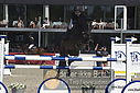 Filnavn=_AAF7224~3.JPG
Filstørrelse=300KiB
Dimensioner=1224x817
Dato for tilføjelse=%28 %263, %2018 _AAF7224~3.JPG