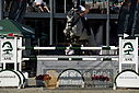 Filnavn=_AAF7997~4.JPG
Filstørrelse=320KiB
Dimensioner=1224x817
Dato for tilføjelse=%28 %495, %2018 _AAF7997~4.JPG