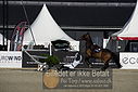 Filnavn=_AAF8044~1.JPG
Filstørrelse=345KiB
Dimensioner=1224x817
Dato for tilføjelse=%28 %495, %2018 _AAF8044~1.JPG