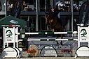 Filnavn=_AAF8207~3.JPG
Filstørrelse=326KiB
Dimensioner=1224x817
Dato for tilføjelse=%28 %496, %2018 _AAF8207~3.JPG