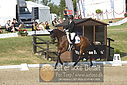 Filnavn=_AAF8740~3.JPG
Filstørrelse=424KiB
Dimensioner=1224x817
Dato for tilføjelse=%10 %429, %2018 _AAF8740~3.JPG