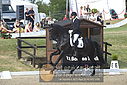 Filnavn=_AAF8877~2.JPG
Filstørrelse=379KiB
Dimensioner=1224x817
Dato for tilføjelse=%10 %429, %2018 _AAF8877~2.JPG