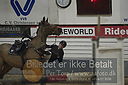 Filnavn=_AAF8894~4.JPG
Filstørrelse=276KiB
Dimensioner=1226x816
Dato for tilføjelse=%07 %959, %2019 _AAF8894~4.JPG