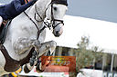 Filnavn=_DSC0039~0.jpg
Filstørrelse=626KiB
Dimensioner=1224x814
Dato for tilføjelse=%05 %338, %2019 _DSC0039~0.jpg