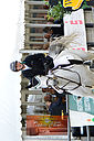 Filnavn=_DSC0131.jpg
Filstørrelse=719KiB
Dimensioner=814x1224
Dato for tilføjelse=%05 %341, %2019 _DSC0131.jpg