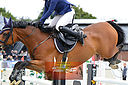 Filnavn=_DSC0154.jpg
Filstørrelse=789KiB
Dimensioner=1224x814
Dato for tilføjelse=%05 %342, %2019 _DSC0154.jpg