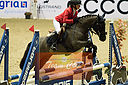 Filnavn=_DSC0183~0.jpg
Filstørrelse=810KiB
Dimensioner=1224x814
Dato for tilføjelse=%19 %746, %2019 _DSC0183~0.jpg