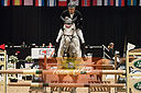 Filnavn=_DSC0448.jpg
Filstørrelse=765KiB
Dimensioner=1224x814
Dato for tilføjelse=%20 %509, %2019 _DSC0448.jpg
