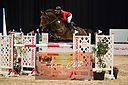 Filnavn=_DSC0454.jpg
Filstørrelse=848KiB
Dimensioner=1224x814
Dato for tilføjelse=%20 %509, %2019 _DSC0454.jpg