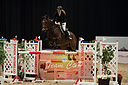 Filnavn=_DSC0466.jpg
Filstørrelse=755KiB
Dimensioner=1224x814
Dato for tilføjelse=%20 %509, %2019 _DSC0466.jpg