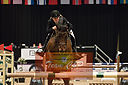 Filnavn=_DSC0500.jpg
Filstørrelse=692KiB
Dimensioner=1224x814
Dato for tilføjelse=%20 %509, %2019 _DSC0500.jpg