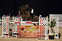 Filnavn=_DSC0575.jpg
Filstørrelse=806KiB
Dimensioner=1224x814
Dato for tilføjelse=%20 %509, %2019 _DSC0575.jpg
