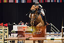 Filnavn=_DSC0588.jpg
Filstørrelse=716KiB
Dimensioner=1224x814
Dato for tilføjelse=%20 %509, %2019 _DSC0588.jpg