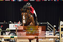 Filnavn=_DSC0660.jpg
Filstørrelse=695KiB
Dimensioner=1224x814
Dato for tilføjelse=%20 %510, %2019 _DSC0660.jpg