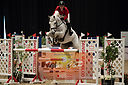 Filnavn=_DSC0669.jpg
Filstørrelse=779KiB
Dimensioner=1224x814
Dato for tilføjelse=%20 %511, %2019 _DSC0669.jpg
